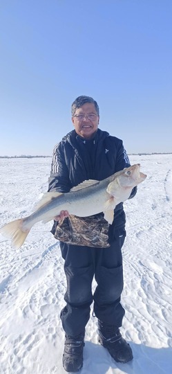 Walleye