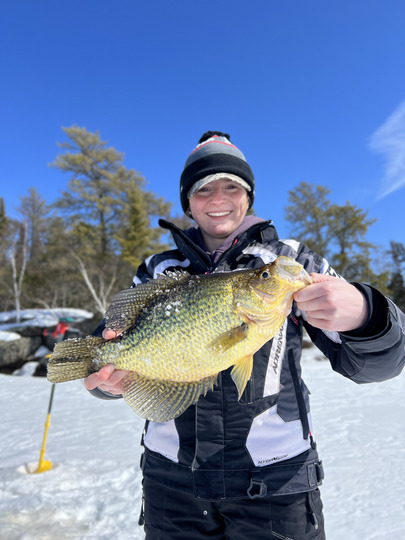 Black Crappie