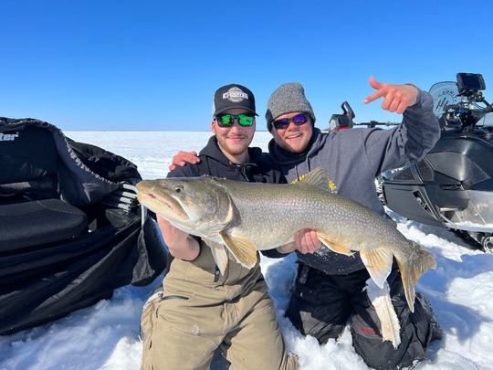 Lake Trout