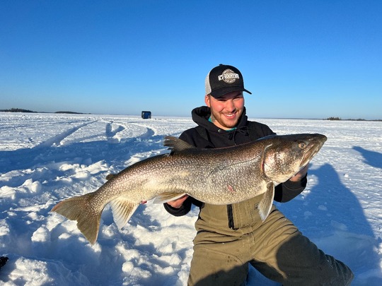 Lake Trout