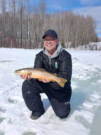 Brown Trout
