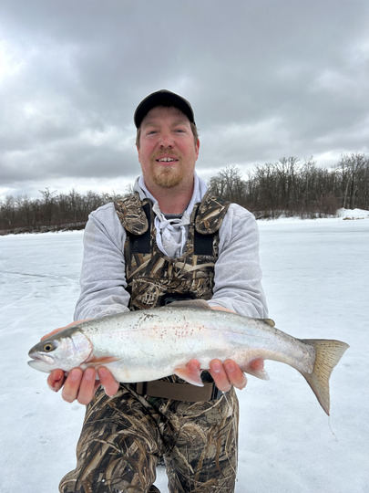 Rainbow Trout