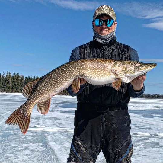 Northern Pike