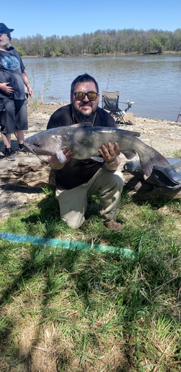 Channel Catfish