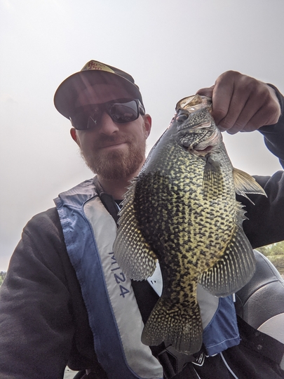 Black Crappie