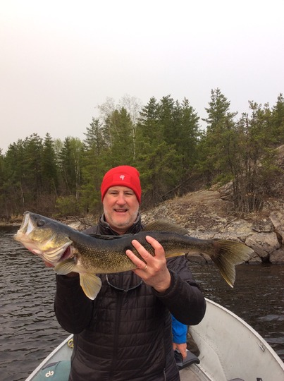 Walleye