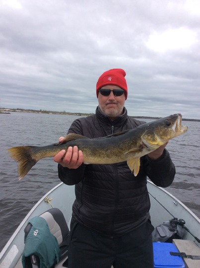 Walleye