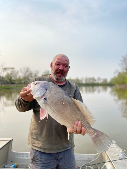 Freshwater Drum