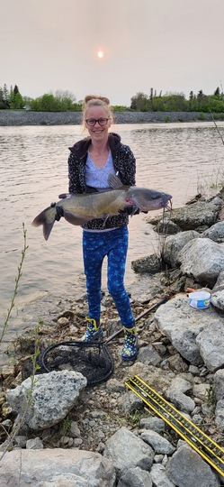 Channel Catfish