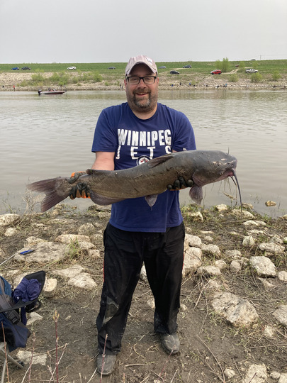 Channel Catfish