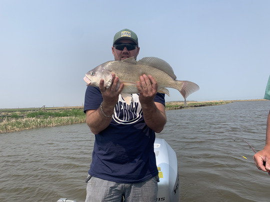 Freshwater Drum