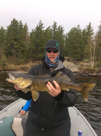Walleye