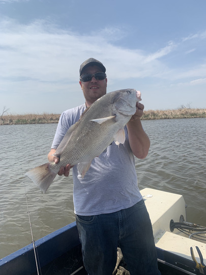 Freshwater Drum