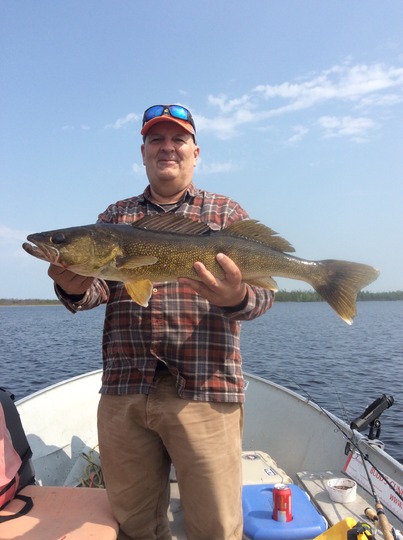 Walleye