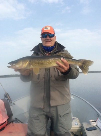 Walleye