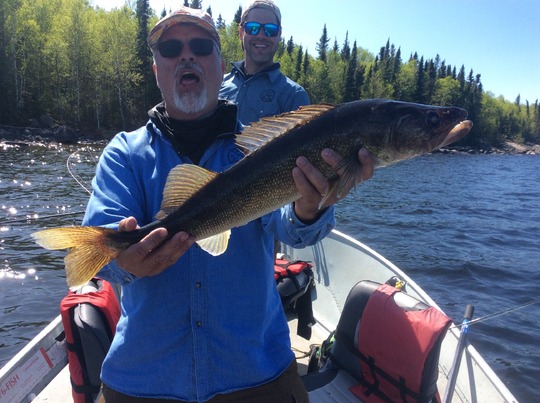 Walleye