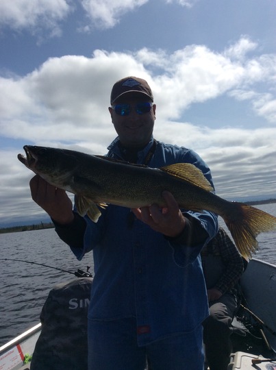 Walleye