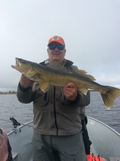 Walleye