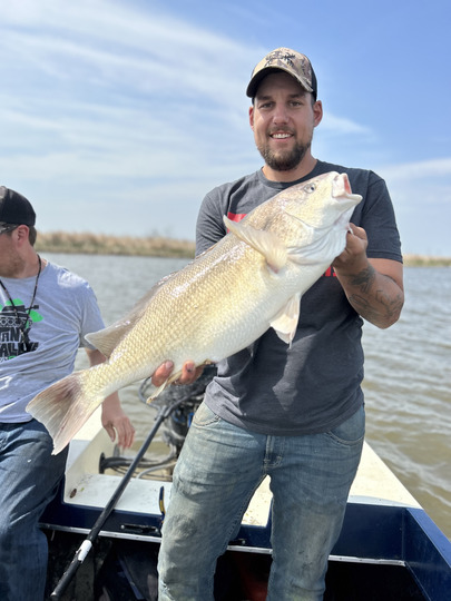 Freshwater Drum