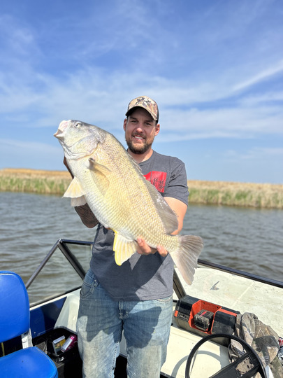 Freshwater Drum