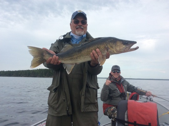 Walleye