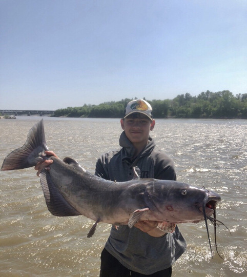 Channel Catfish