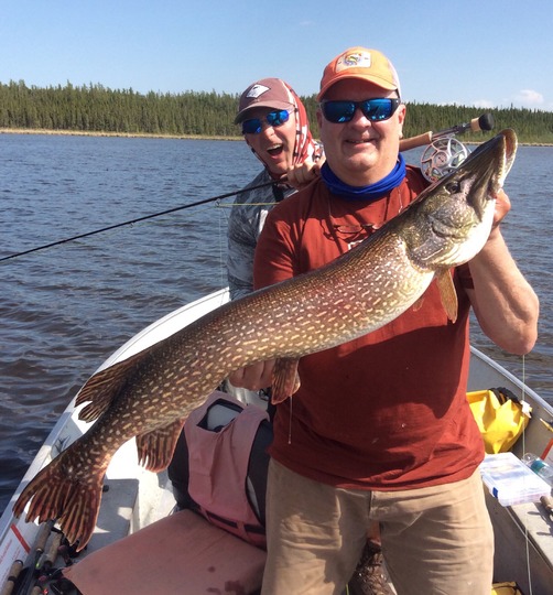 Northern Pike