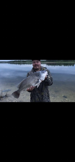 Freshwater Drum