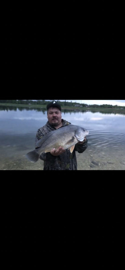 Freshwater Drum