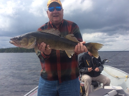 Walleye