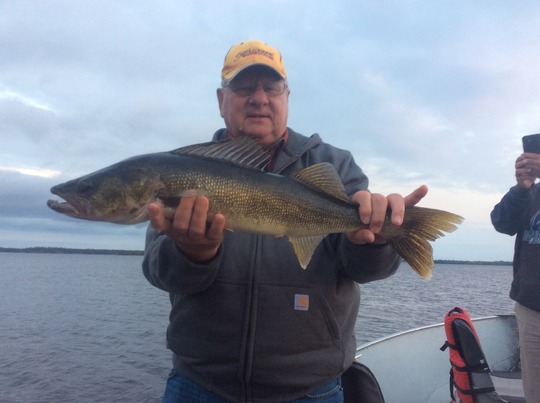 Walleye