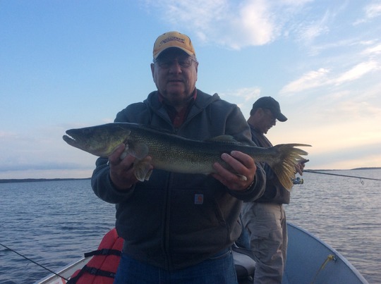 Walleye
