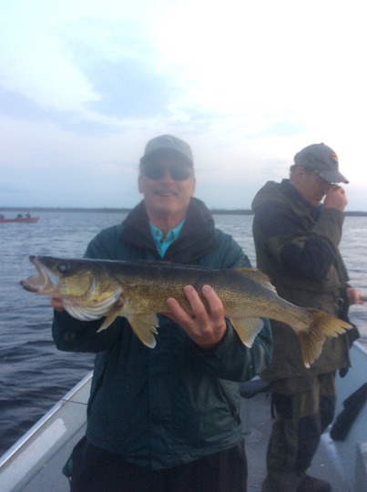 Walleye