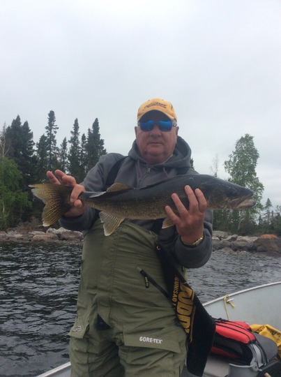 Walleye