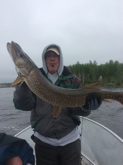 Northern Pike