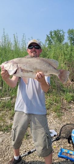 Freshwater Drum