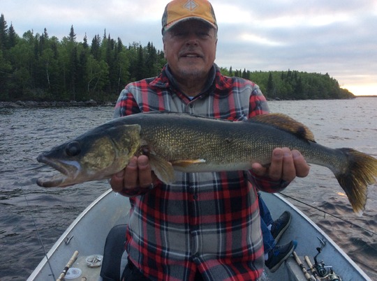 Walleye