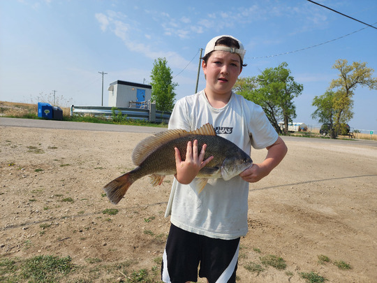 Freshwater Drum