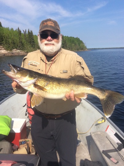 Walleye