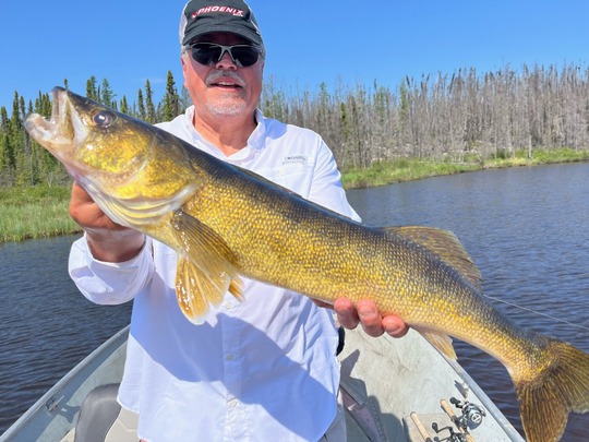 Walleye