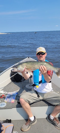 Walleye