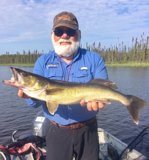 Walleye