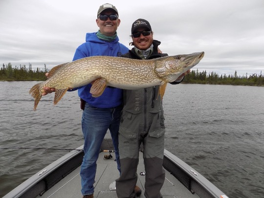 Northern Pike