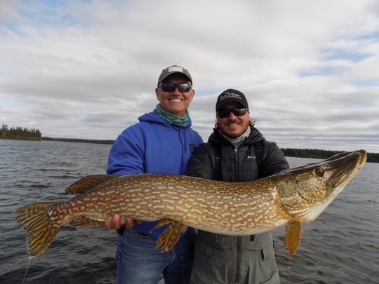 Northern Pike