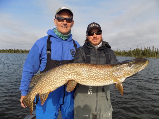 Northern Pike