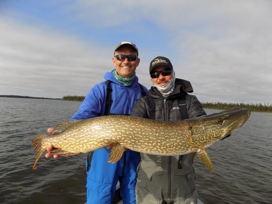 Northern Pike