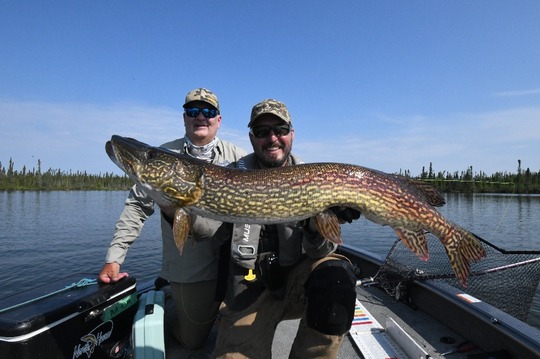 Northern Pike