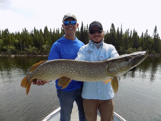 Northern Pike