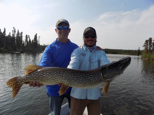 Northern Pike