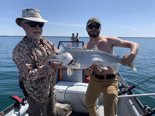 Lake Trout